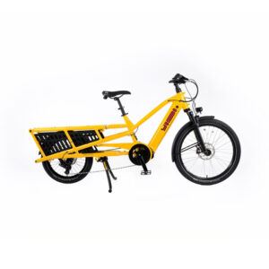 Neues würziges Curry 2025 von Yuba-Neu