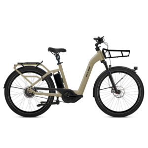 FLYER Gotour 3 7.43 2024 Lasten-Elektrofahrrad-Neu