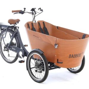 Babboe Flow-E Elektroroller-Neu