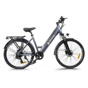 Molicycle R1 250W 26″ Elektro-VTC-Citybike 14,5 Ah-Neu